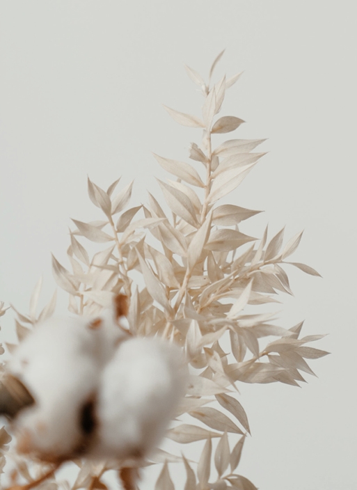MATERIALS -